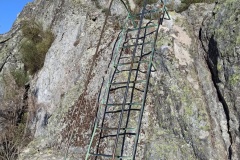 IMG_20210103_123359