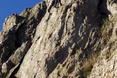 IMG-20221112-WA0005