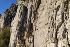 IMG-20221112-WA0009