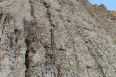 IMG-20221218-WA0017