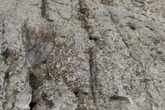 IMG-20221218-WA0022