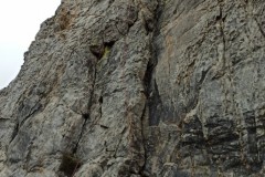 IMG-20210207-WA0005