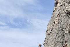 IMG-20210216-WA0020